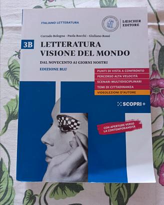 Letteratura visione del mondo 3B