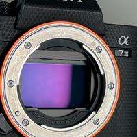 Sony a7iii + Samyang 35mm f/1.4