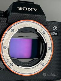 Sony a7iii + Samyang 35mm f/1.4