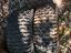 Immagine 4
