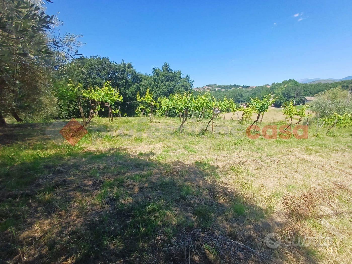 Terreno Residenziale Strangolagalli - Vista 5
