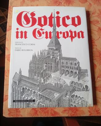 Gotico in Europa disegni:F.Conti testo:F.Bourbon