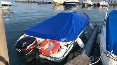 Mercury Four Stroke EFI Elica Carter centralina