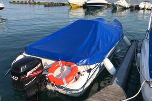 Mercury Four Stroke EFI Elica Carter centralina