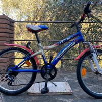 Bici lombrardo artemis bambino