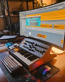 Moog Subsequent 25