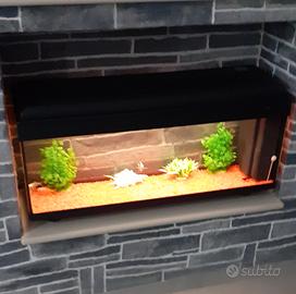 acquario 100 litri completo poco trattabile 