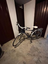 Bici da uomo