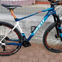 MTB 29 carbonio 