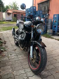 Hornet 600