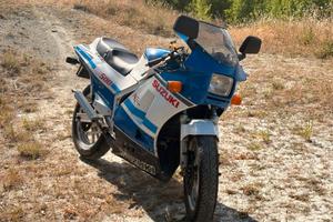 Suzuki Rg500 Gamma