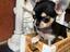 Immagine 4