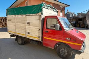 Camion trasporto bestiame