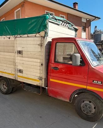 Camion trasporto bestiame