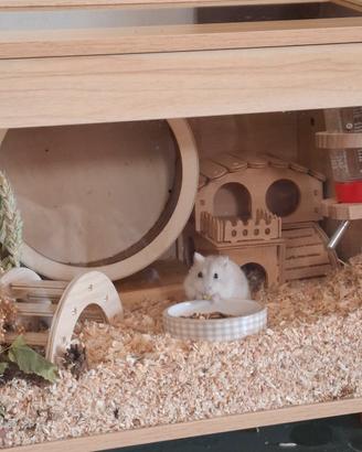 teca in legno/ gabbia con criceto