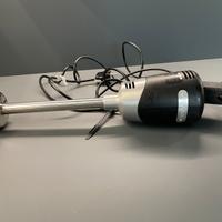 Frullatore a immersione professionale