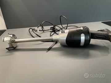 Frullatore a immersione professionale
