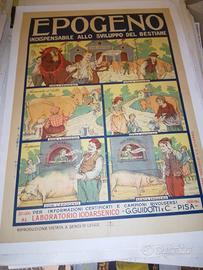 manifesto poster pubblicitario epogeno bestiame