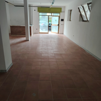 Ampio locale commerciale