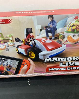 Mario kart live home circuit