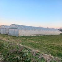 Serra per orto a gamba dritta