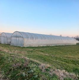 Serra per orto a gamba dritta