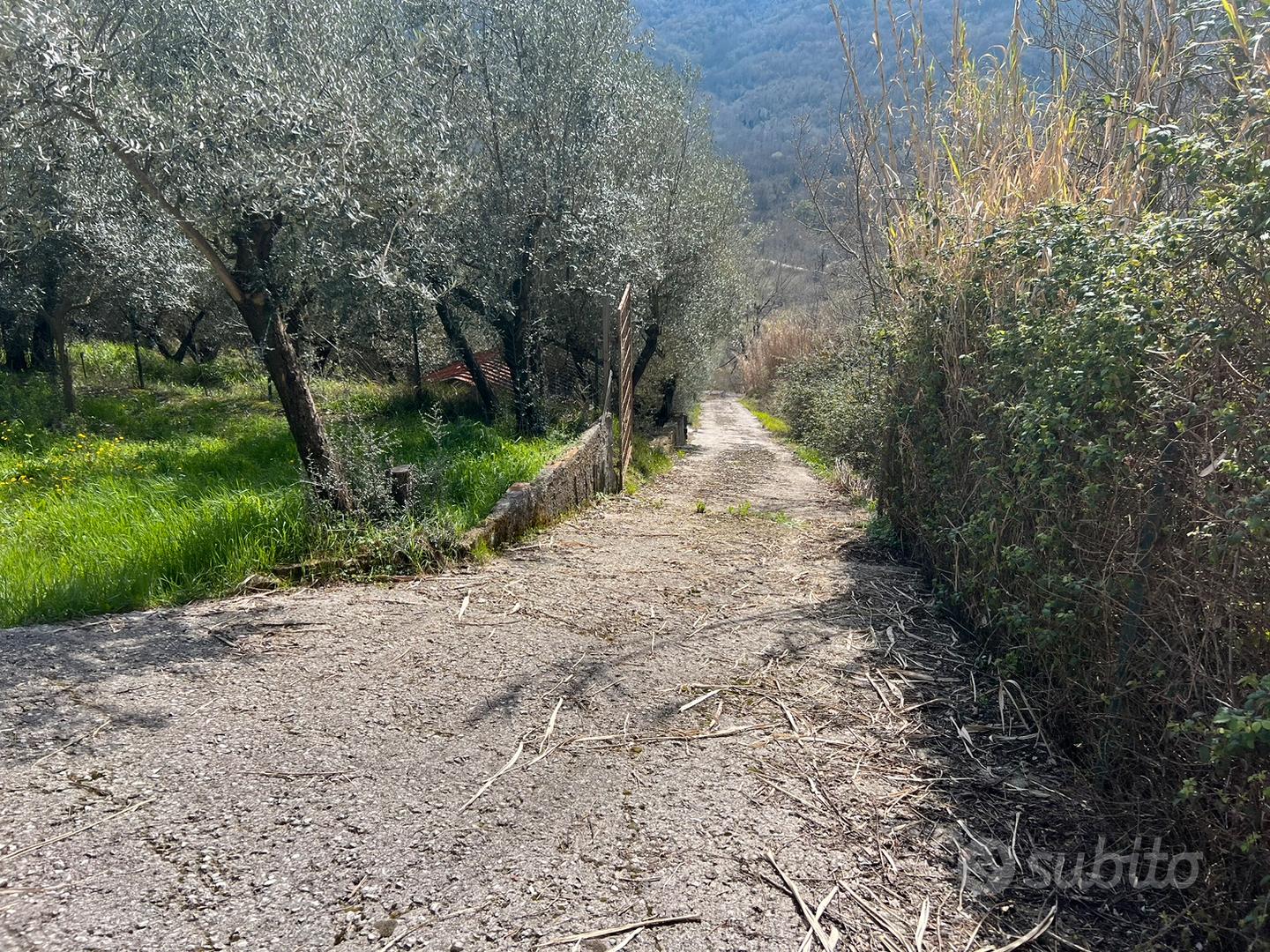Terreno local pisoniano con pozzo e cisterna - Vista 2