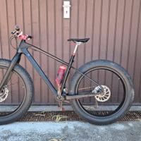 Fat Bike Full Carbon