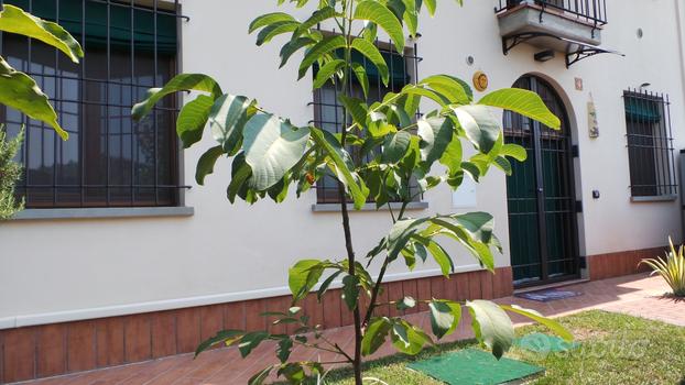 Casa di 56mq piano terra Saletta di Copparo