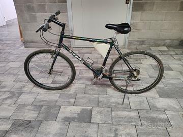 MTB muscolare ben tenuta