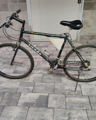 MTB muscolare ben tenuta