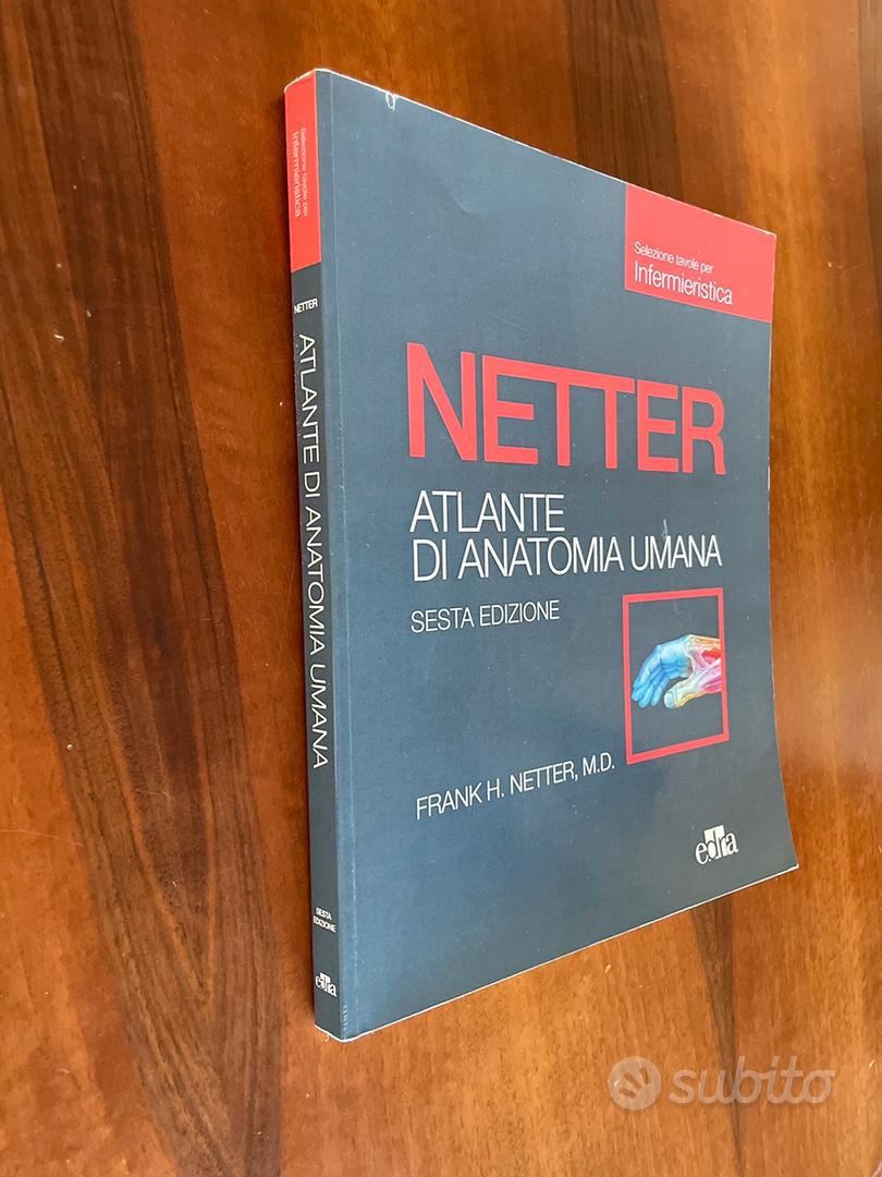 Atlante Netter anatomia umana - Libri e Riviste In vendita a Pisa