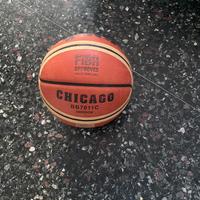 Palla da basket