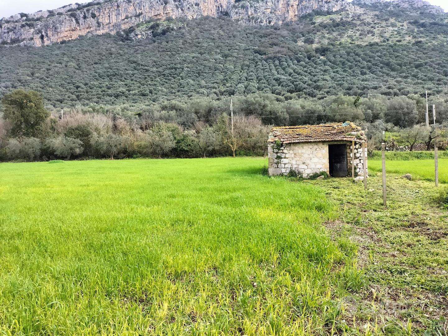 Terreno agricolo con piccolo rudere(come da foto) - Vista 2