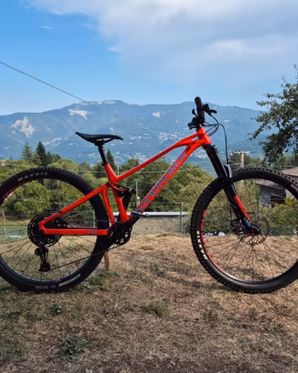 Mondraker foxy 29 2019