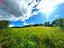 Immagine 10