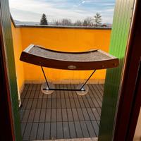 pecute amaca mensola gatti