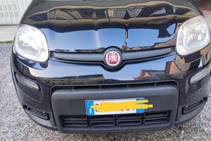 Fiat Pandino icos