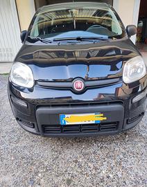Fiat Pandino icos