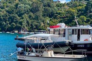 BOSTON WHALER MONTAUK 17