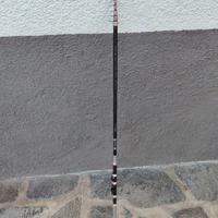 Canna pesca carbonio 3.9m 3-8g
