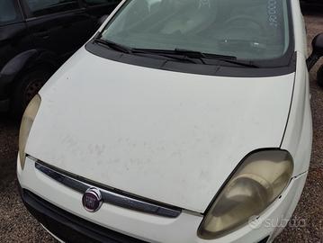 Cofano FIAT GRANDE PUNTO del 2011