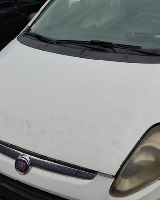 Cofano FIAT GRANDE PUNTO del 2011
