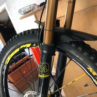 Santacruz 5010 Carbon C immacolata