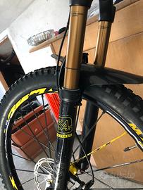 Santacruz 5010 Carbon C immacolata