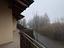 Immagine 7