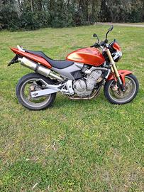 Hornet 600