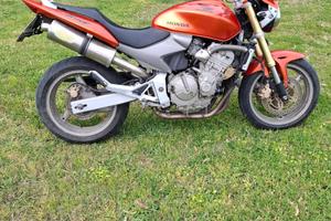 Hornet 600
