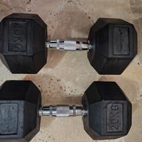 Manubri palestra da 20kg e 12kg