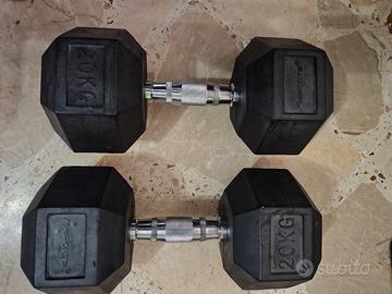 Manubri palestra da 20kg e 12kg